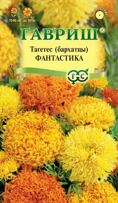 Какие цветы решил посадить в зиму... | Алтай Село | Дзен