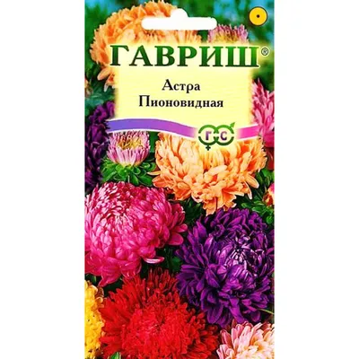 Семена Цветы, Астра, Гранатовая II, 0.2 г, Русский размер, цветная  упаковка, Русский огород в Белгороде: цены, фото, отзывы - купить в  интернет-магазине Порядок.ру