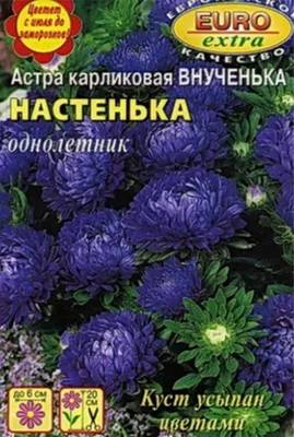 Семена РУССКИЙ ОГОРОД Цветы Астра Русский размер II Гранатовая 0.2 г 771523  - выгодная цена, отзывы, характеристики, фото - купить в Москве и РФ