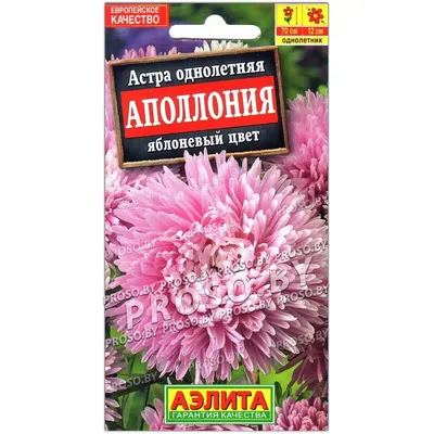 Семена Алтая Семена Цветов Астра для сада дачи и огорода