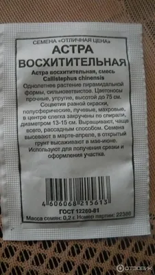 Отзыв о Семена астры \"Отличная цена\" Флагман \"Восхитительная\" | Лето  заказывали? Всё для вас!