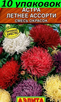 Семена цветов Астра \"Восхитительная\", смесь, О, 0,3 г серия ХИТ х3  (2869470) - Купить по цене от 8.40 руб. | Интернет магазин SIMA-LAND.RU