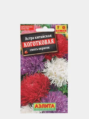 Астра пионовидная Смесь окрасок купить недорого в интернет-магазине товаров  для сада Бауцентр