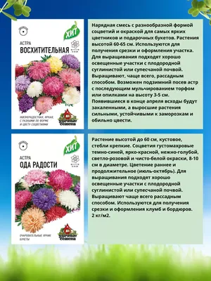 Набор семян цветов Астра \"Хит продаж\" — купить в интернет-магазине по  низкой цене на Яндекс Маркете