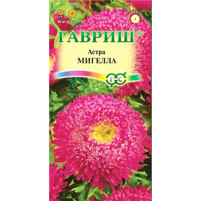 Астра Букетная, смесь сортов, семена (Аэлита) купить по цене 39 ₽ в  интернет-магазине KazanExpress