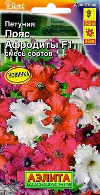 Семена цветов Астра Башня смесь, О, 0,3г в Бишкеке купить по ☝доступной  цене в Кыргызстане ▶️ max.kg