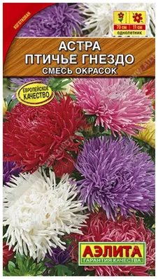 Семена Алтая Семена Цветов Астра для сада дачи и огорода