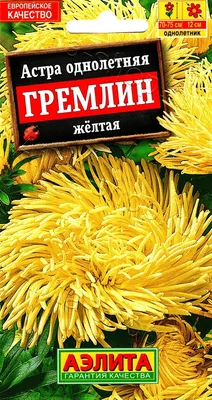 Астра Арлекин желтая (Yellow) однолетняя Satimex купить семена, цена в  Супермаркете Семян