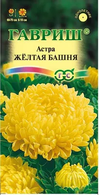 Купить семена Астра Дюшес жёлтая — от НПО Сады Росcии