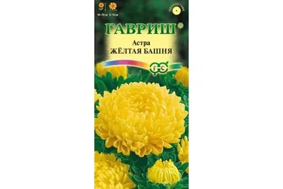 Астра Желтая башня (семена,цветы) купить по цене 46.55 ₽ в  интернет-магазине KazanExpress