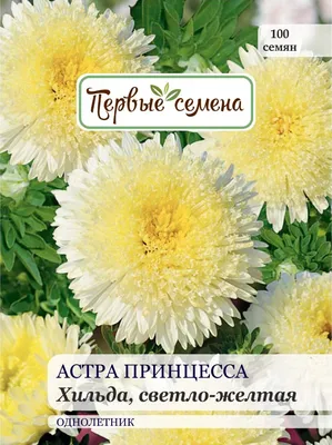 Купить семена Астра Краллен Голд 0,3 г, коготковая желтая по лучшей цене с  доставкой по Москве и РФ