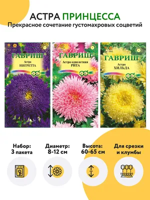 Астра ГАВРИШ Желтая башня, однолетняя (пионовидная) 0,3 г 1111 - выгодная  цена, отзывы, характеристики, фото - купить в Москве и РФ