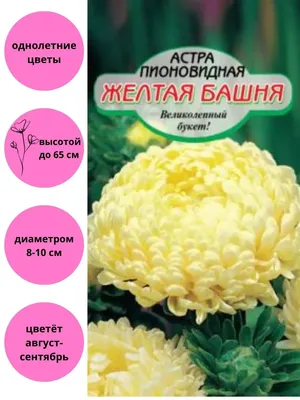 Семена Астра Пионен Голден Турм ;желтая 0,25 г купить в Украине с доставкой  | Цена в Svitroslyn.ua