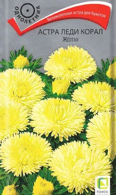 Купить семена: Астра Сидония Желтая - цены,фото,отзывы | Green-Club.com.ua