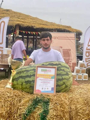 В Челябинскую область хлынули астраханские арбузы