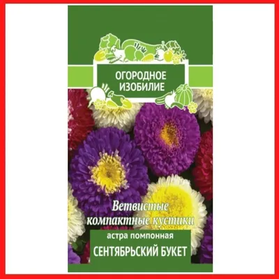 Семена Алтая Семена Цветов Астра для сада дачи и огорода