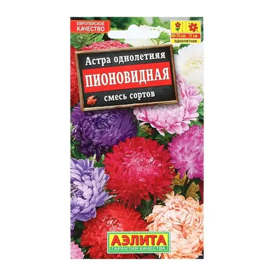 Сентябрины, кто же они на самом деле | Пикабу