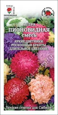 Самые неприхотливые цветы для дачи: 30+ лучших видов