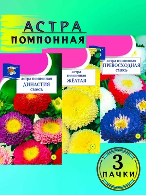 Nadezda's Home and Garden: Осенние цветы в саду