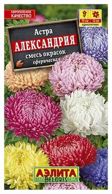 Подставка для цветов «Астра» купить с доставкой в Москве и Московской  области | КовкаГрад