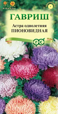 Астры однолетние ПОИСК Агрохолдинг астра цветы однолетние Поиск. - купить  по выгодным ценам в интернет-магазине OZON (876278554)