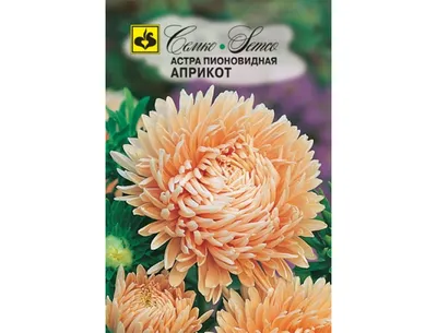 Астра Пионовидная, смесь окрасок 0,2г, семена | Купить в интернет магазине  Аэлита