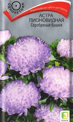 Купить семена Астра Затмение 0,3 г, пионовидная фиолетовая по лучшей цене с  доставкой по Москве и РФ