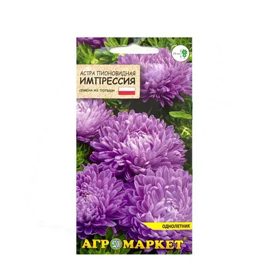 Купить Семена - Астра Блауэр Турм, пионовидная, 0,25 г. ❱❱ Колибри-маркет  ❰❰❰