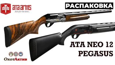 Ружье ATA Arms Neo 12 – характеристика, отзывы, цена