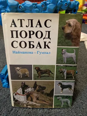 Винтаж: Малый атлас пород собак в интернет-магазине на Ярмарке Мастеров |  Книги винтажные, Мичуринск - доставка по России. Товар продан.