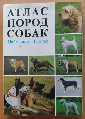 Й. Найман, Й. Новотны. Атлас пород собак | Новотны Йозеф, Найман Йозеф -  купить с доставкой по выгодным ценам в интернет-магазине OZON (701292690)