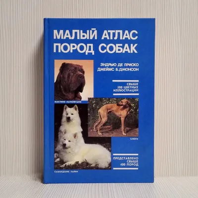 Атлас пород собак: басенджи высоко …» — создано в Шедевруме