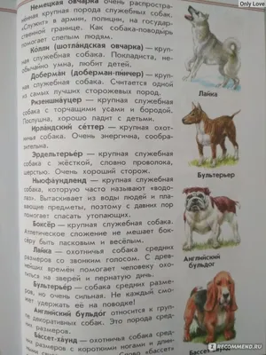 Все породы собак (Дэвид Элдертон) - купить книгу с доставкой в  интернет-магазине «Читай-город». ISBN: 978-5-69-948514-7