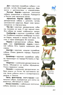 Винтаж: Атлас пород собак. Йозеф Найман, Йозеф Новотны. 1976 купить в  интернет-магазине Ярмарка Мастеров по цене 300 ₽ – KL9YCBY | Книги  винтажные, Москва - доставка по России