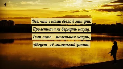 Август - астры, август - звезды: встречаем последний летний месяц |  Министерство культуры РФ | Дзен