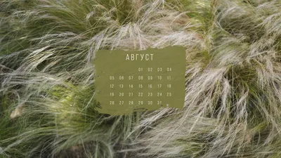 августовский месячный календарь PNG , Календарь на август 2023 года,  календарь 2023, в августе календарь PNG картинки и пнг PSD рисунок для  бесплатной загрузки