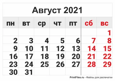 3 августа «День арбуза» | МБОУ «Гимназия № 18 имени И.Я. Илюшина»