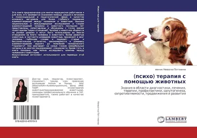 Проблема бродячих собак в Алматы: недостаток мест для отлова | ОБЩЕСТВО |  АиФ Казахстан