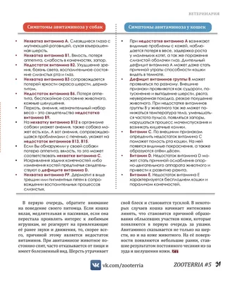 Инфаркт у собаки: причины, симптомы, лечение, профилактика