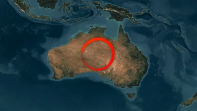Жители города в Австралии стали заложниками наглых кенгуру — Секрет фирмы