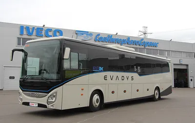 Заказать автобус Iveco 30 мест | Аренда автобуса
