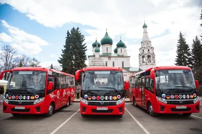 Большой автобус в Сингапуре: автобусный тур Hop-on Hop-off | Tiqets