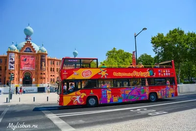 Автобусный тур в Москву 3-7.11(5 дней/4 ночи) — Туры в Питер из Минска.  Туристическое агентство \"Релакс-тур\"