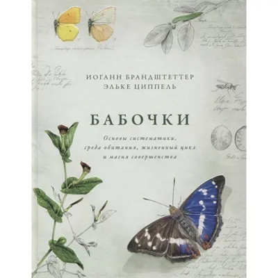 капустная белая бабочка на красном русском листе Стоковое Фото -  изображение насчитывающей насекомое, конец: 229464282