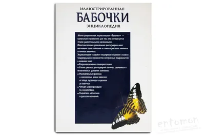 Посуда в русском стиле: Бабочки в интернет-магазине Ярмарка Мастеров по  цене 1600 ₽ – LW5RCRU | Посуда в русском стиле, Вышний Волочек - доставка  по России