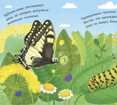 Бабочки - купить книгу с доставкой в интернет-магазине «Читай-город». ISBN:  978-5-95-672791-1