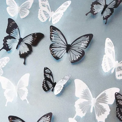 Бабочки на стене фото фотографии