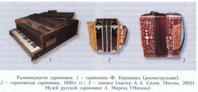 БАЯН ученический двухголосный \"ТУЛА-209\" 92/55х100-II - купить с доставкой  по России. MUZSHOP.RU заказ онлайн