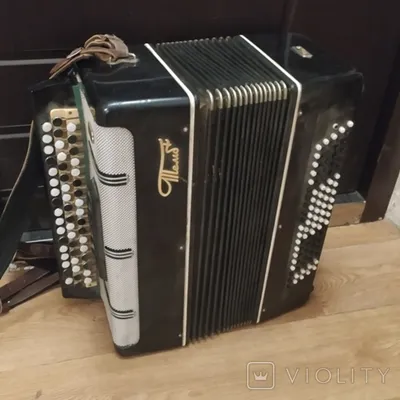 Баян ученический детский выборный \"Тула\" БН-56