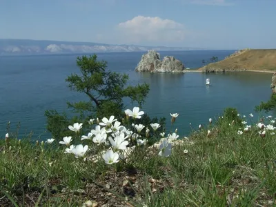 Россия: Байкал пустят под нож ради гигантских месторождений? | Eurasianet